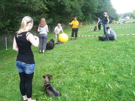 ....Anja erklärt Treibball...