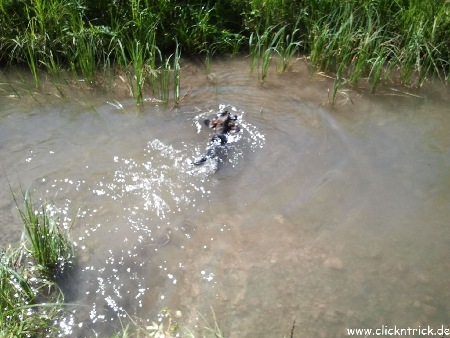 ....ach  ist das toll...noch ne Runde schwimmen..