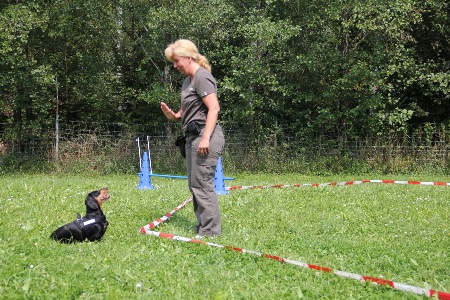 Gut gemacht Honey!! Auf Anweisung bleibt der Hund stehen, sitzen oder geht ins Platz.