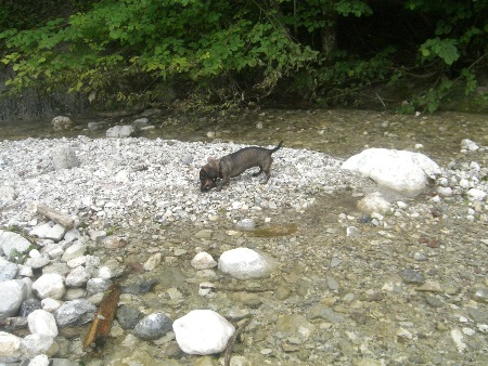 Wandern durch die Schleifmühlenklamm....überall Wasser...das war wieder was für Lucy...