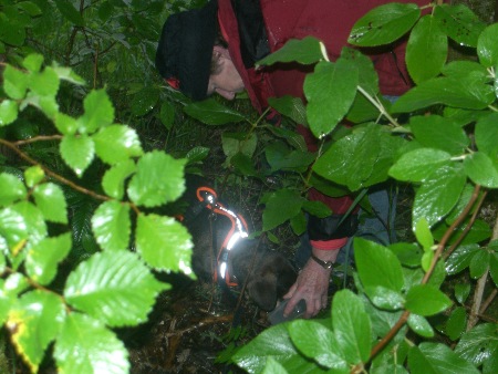 Inga beim Mantrailing....die versteckte Person wurde gefunden und jetzt gibt es den wohlverdienten Jackpot....Pferdefleisch...